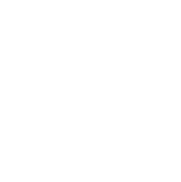 Logo Despachante Pastor